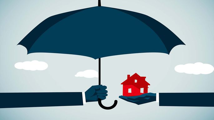 Kin homeowners insurance