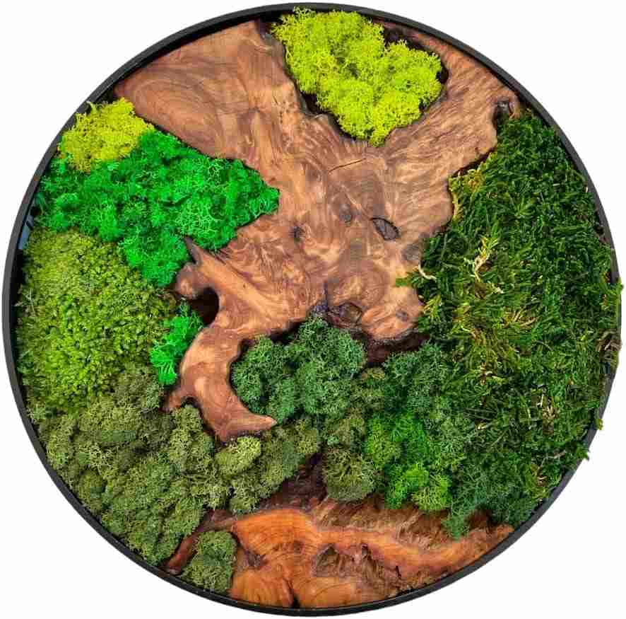 Evergreen Oasis Cedar Wood and Preserved Moss Wall Art